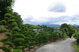 �����̗쉀 �����s �u�� �u���x�m���쉀 ���ʎ� �~�ʎ�